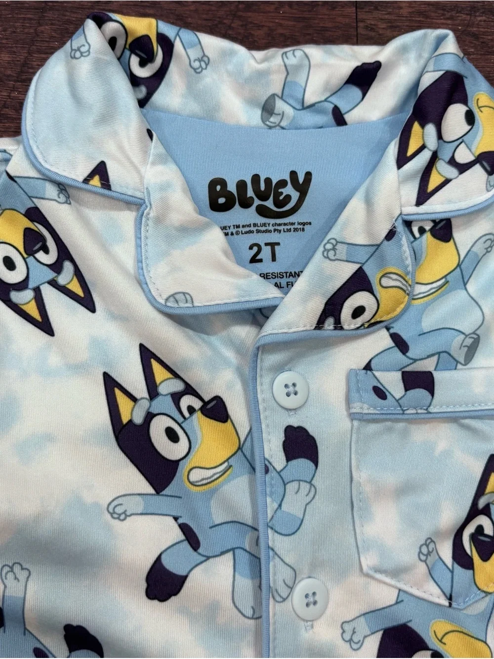 Bluey Light Blue Kids Pajama Set - Short Sleeve Top & Shorts